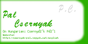 pal csernyak business card